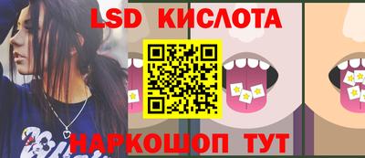гашик Дубна