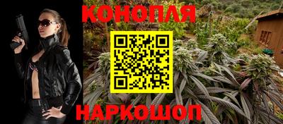 прущие грибы Донской