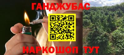 гашик Дубна