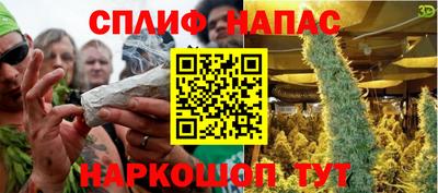 гашик Дубна