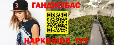 гашик Дубна