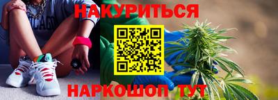 гашик Дубна